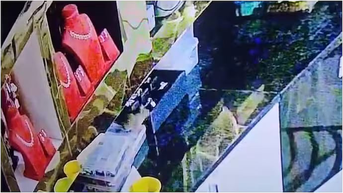 Unreal! Rat Turns 'Jewellery Thief' In Karnataka, Hides ₹10 Lakh Worth Of Gold & Diamond Ornaments In Burrow - VIDEO 