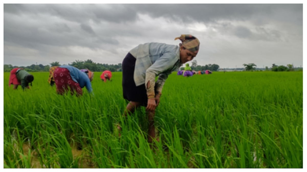 Cabinet Extends PM-KISAN Until 2030-31, Approves ₹3.15 Lakh Crore Outlay For Farmer Support