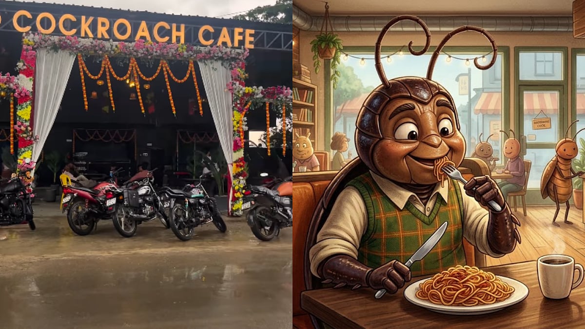 'Cockroach Cafe' Opens In Bihar Amid Rise Of Cockroach Janta Party; Viral Visuals Spark Buzz Online