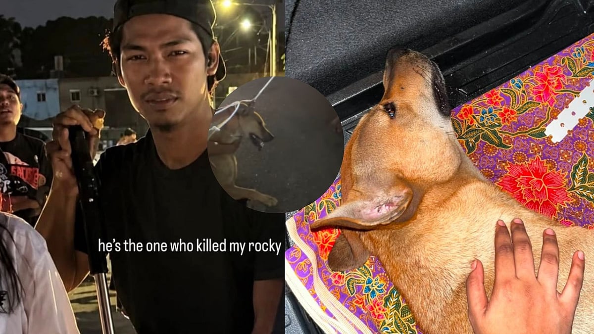 'Justice For Rocky' Trends After Locals Brutally Strangle & Kill Pet Dog In Malaysia's Port Klang; Netizens Enraged, Demand Action
