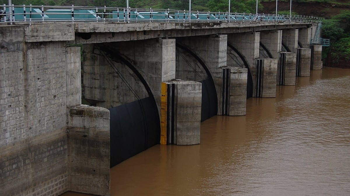 Shravan Rains Revive Ratlam's Kharif Crops, Ease Re-Sowing Fears Despite Rainfall Deficit