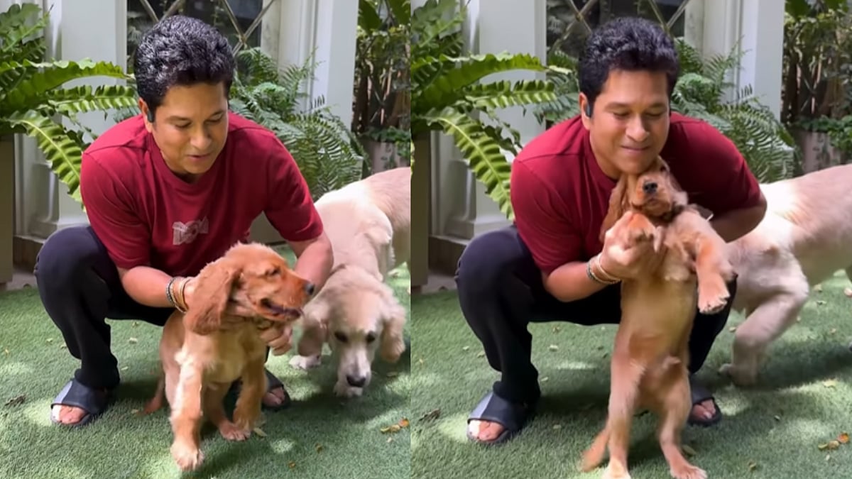 'They Argue Over Nothing...': Sachin Tendulkar's Friendship Day Post Proves Dogs Are Truly Man's Best Friend | Video