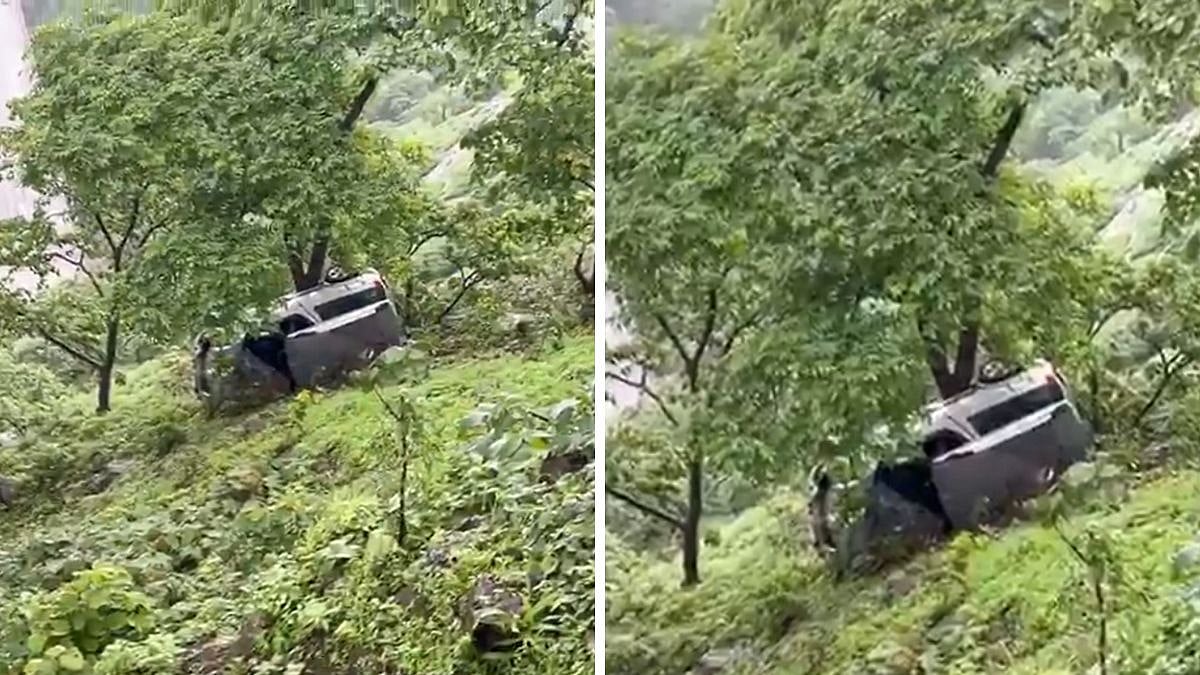 WATCH: Car Falls Into 50-Foot Gorge In Khopoli, Gets Stuck In Tree; Driver Escapes Unhurt