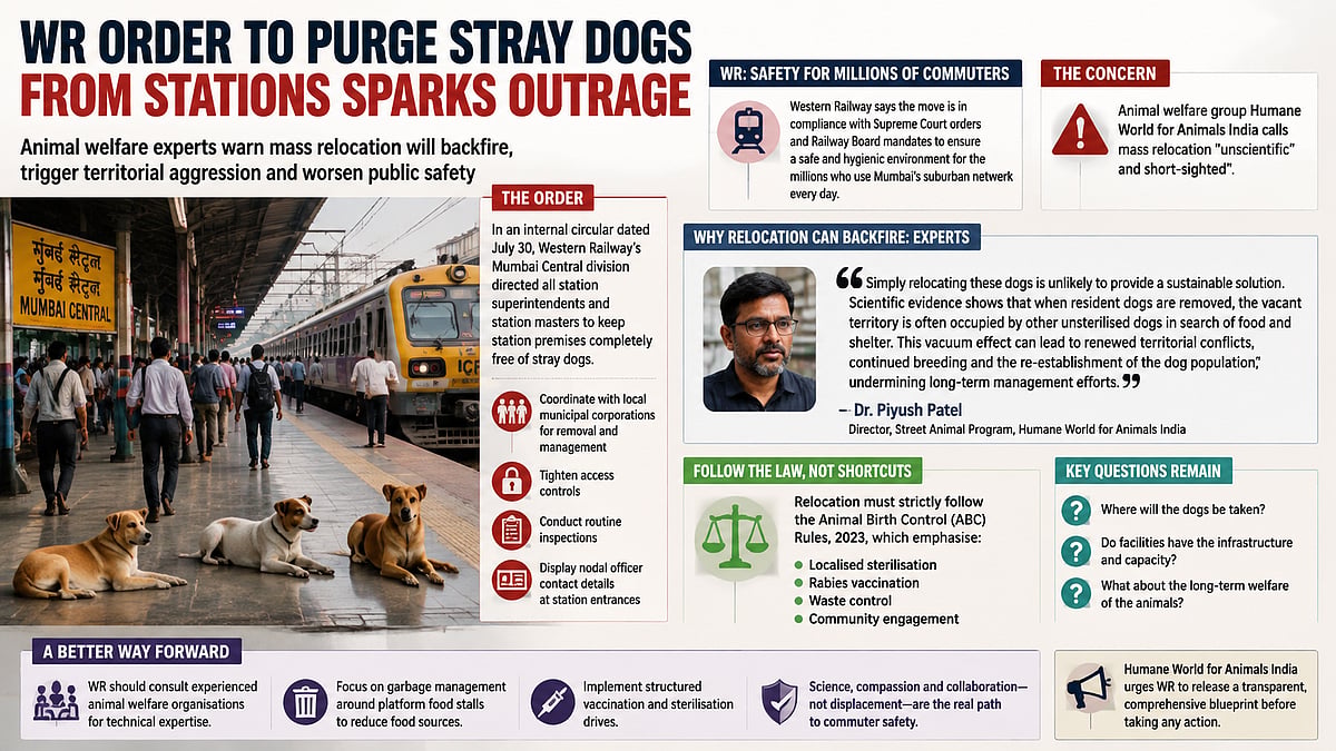 Western Railway’s Station Clearance Drive Triggers Alarm: NGO Warns Relocating Dogs Will Escalate Conflicts