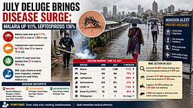 Mumbai monsoon sees surge in malaria and leptospirosis; BMC ramps up surveillance