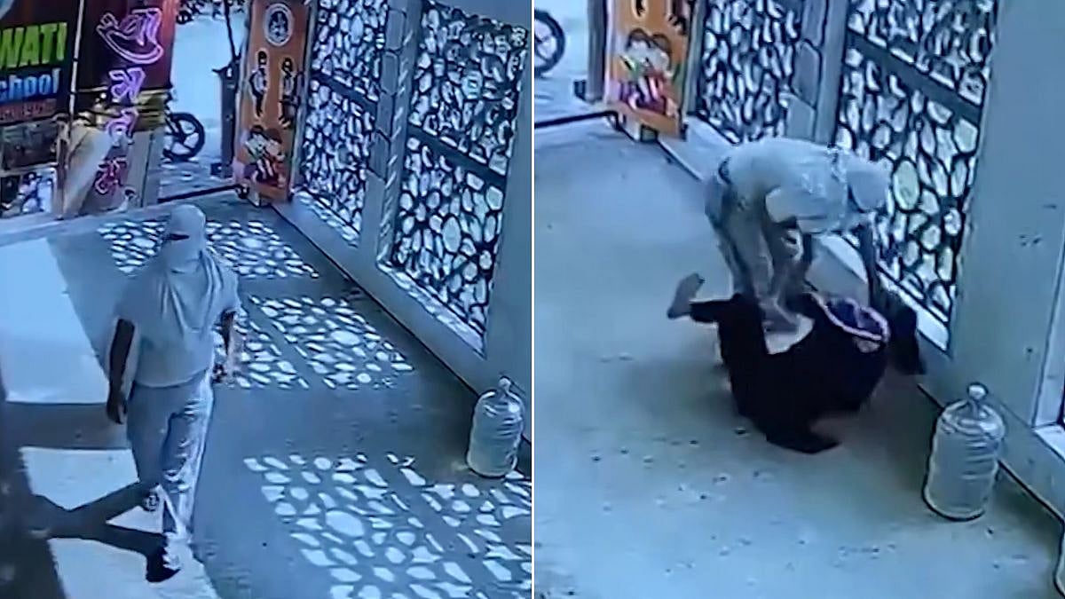 Faridabad School Teacher Allegedly Stabbed To Death By Masked Man Inside Campus; CCTV Under Scanner | VIDEO