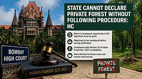 Bombay High Court orders review of private forest declarations over due process lapses
