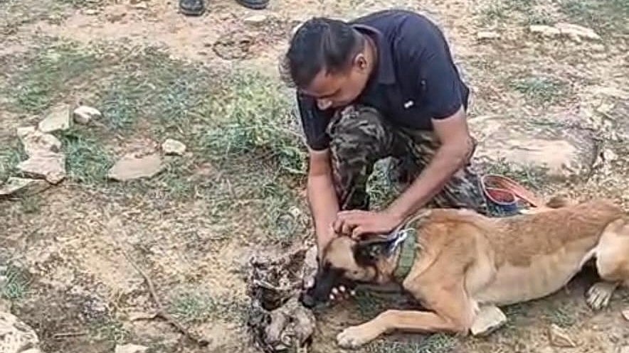 Madhya Pradesh leopard poaching case