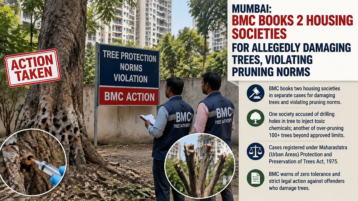 Mumbai: BMC Books 2 Housing Societies For Allegedly Damaging Trees, Violating Pruning Norms