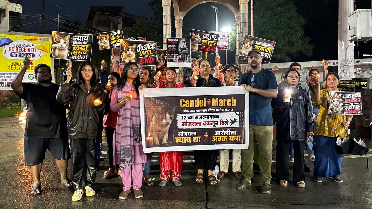 Ambernath stray cat killing case
