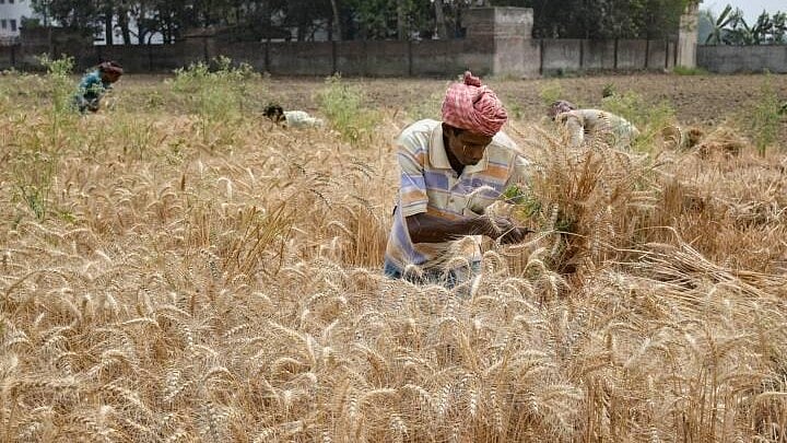 MP Cabinet Approves Kawach Yojana to Help 5,000 Farmers with Loan Disputes
