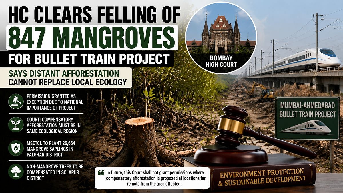 Bombay HC Clears Felling Of 847 Mangroves For Mumbai-Ahmedabad Bullet Train Project, Says Distant Afforestation Cannot Replace Local Ecology