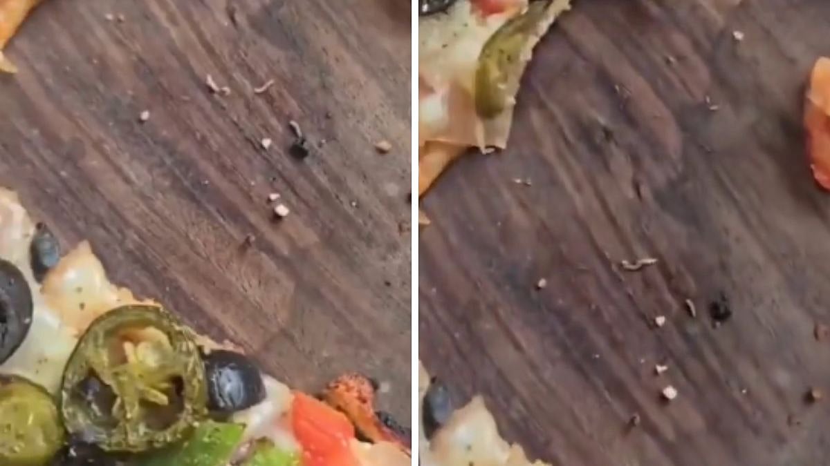 Video Shows Worms In Pizza Served At Mapro Garden In Lonavala; Food Safety Concerns Raised