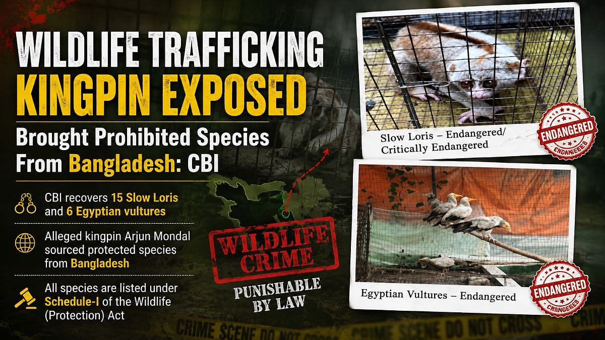 CBI Alleges Wildlife Trafficking Kingpin Sourced Protected Species From Bangladesh For Illegal Trade