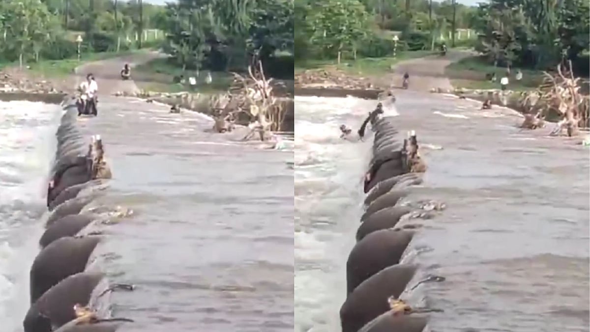 VIDEO: 63-Year-Old Biker Swept Away While Crossing Flooded Weir Near Uruli Kanchan In Pune