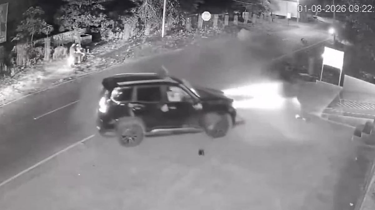 Speeding Car Flips After Hitting Stray Cattle; SP Targets UP Government - VIDEO