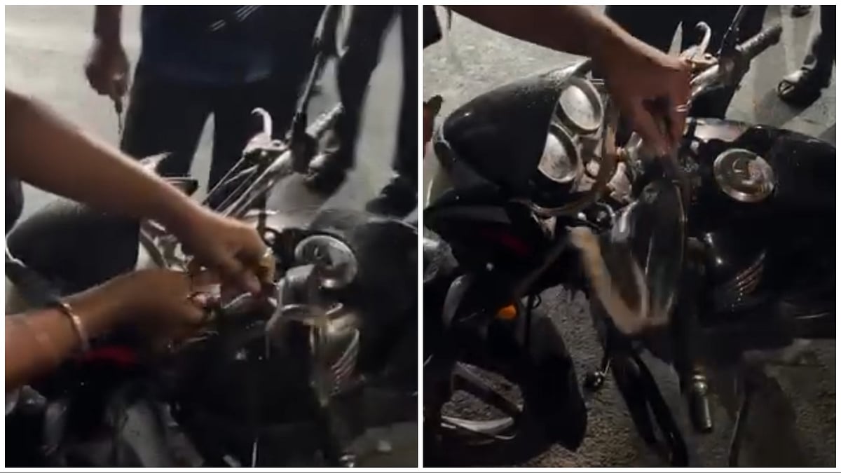 WATCH: Trinket Snake Pulled Out Of Bike Headlight In Pimpri-Chinchwad’s Dapodi