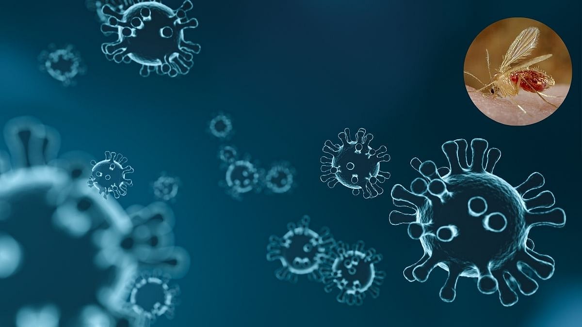 What Is Chandipura Virus? Gujarat Issues Fresh Advisory After 22 Child Deaths