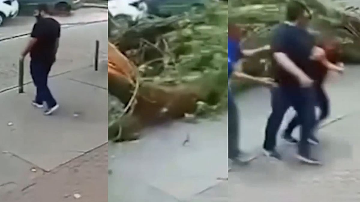 WATCH: Man Cheats Death As Massive Tree Crashes Inches Away During Rio Storm 