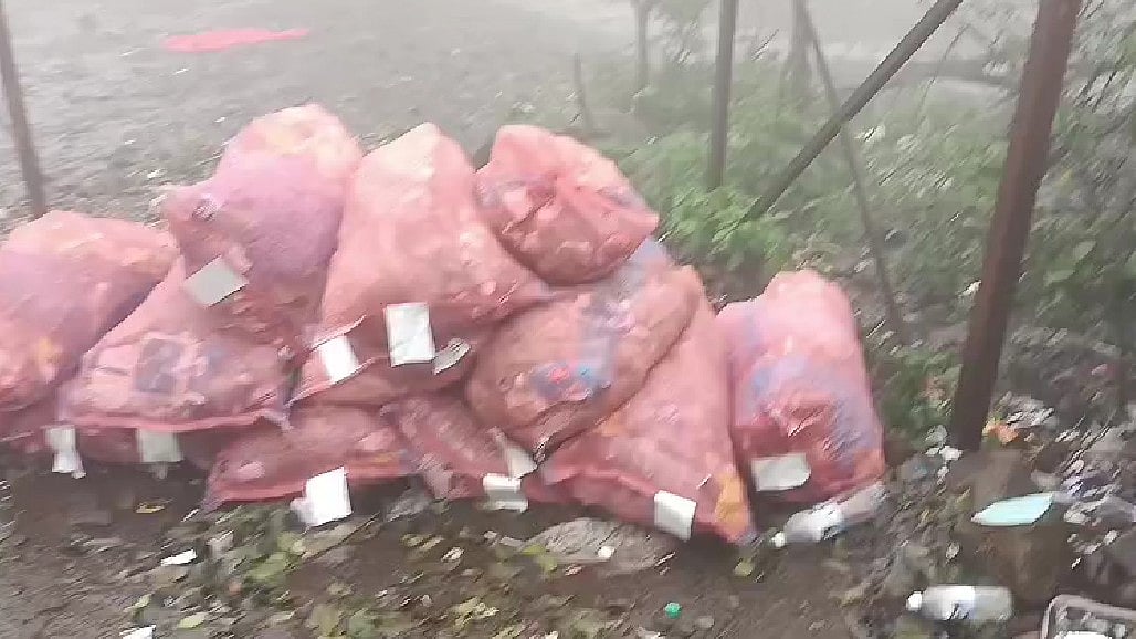 EXCLUSIVE VIDEO: Safety, Sanitation Concerns Surface Ahead Of Shravan Rush At Bhimashankar Temple