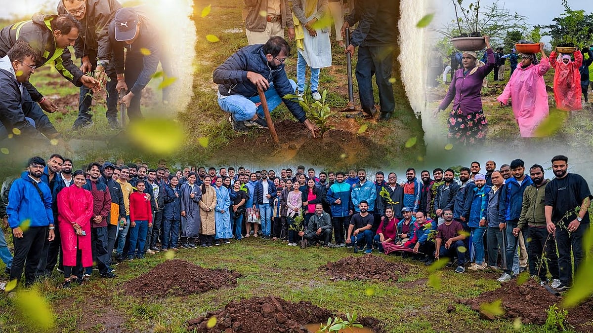 Nashik: ESDS Plants 20,000 Trees, Commits To Five Years Of Protection