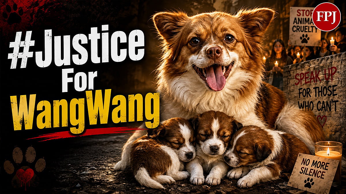 Why Is #JusticeForWangWang Trending? Mother Dog Burned Alive After Puppies Were Brutally Killed By Chinese Minors, Sparking Global Outrage