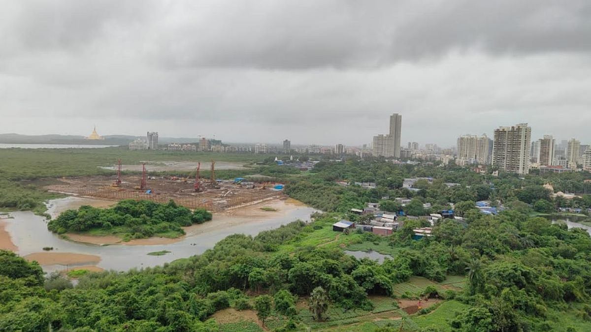 Coastal Road North: BMC Gets Final Nod For 103 Hectares Of Mangrove Diversion