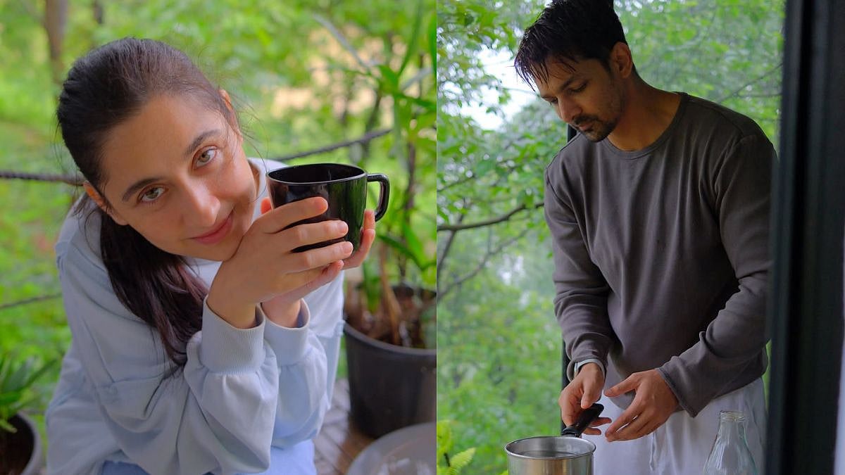 'Finally It's Confirmed': Did Harshvardhan Rane & Sanjeeda Shaikh Spend The Weekend Together? Similar Posts Convince Netizens They're Dating