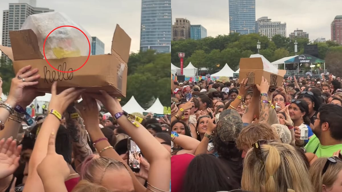 'Loo-less Lollapalooza': Viral Video Alleges Attendees Passing Pee Bag Across Massive Crowd During Live Festival; Sparks Debate
