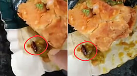 Indore Man Finds Dead Cockroach In Samosa, Food Department Collects Samples | VIDEO