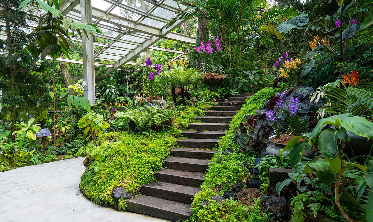Botanic Garden 