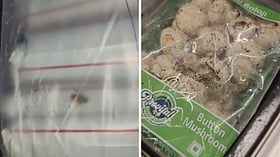 Karnataka FDA raids Bengaluru hotels and clubs, seizing rotten and expired food