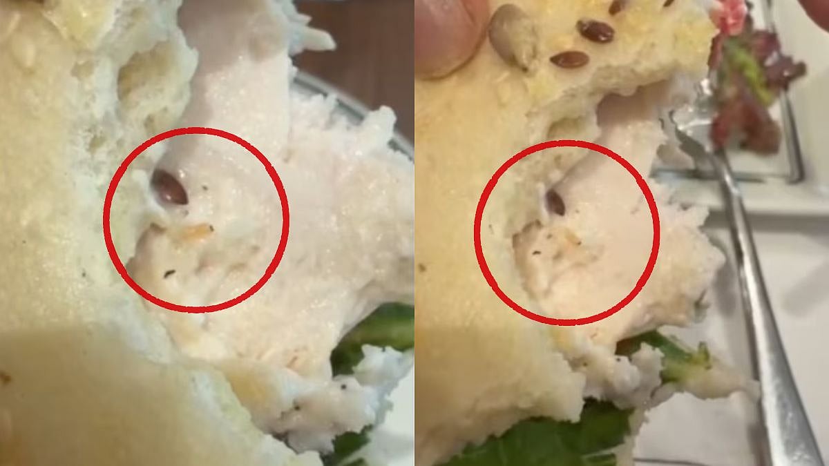 'No Apology?': Live Worm Found In Food At Gurugram’s Paul In Viral Video, Restaurant’s Statement  Gets Trolled
