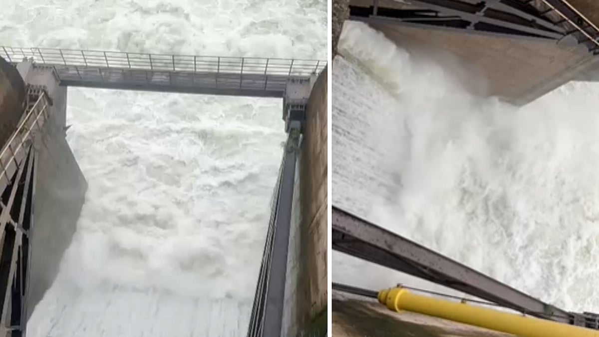 8 Gates Of Bansujara Dam Open Amid Heavy Rains In Chhatarpur; Water Level Of Dhasan River May Rise By Nine Feet— VIDEO