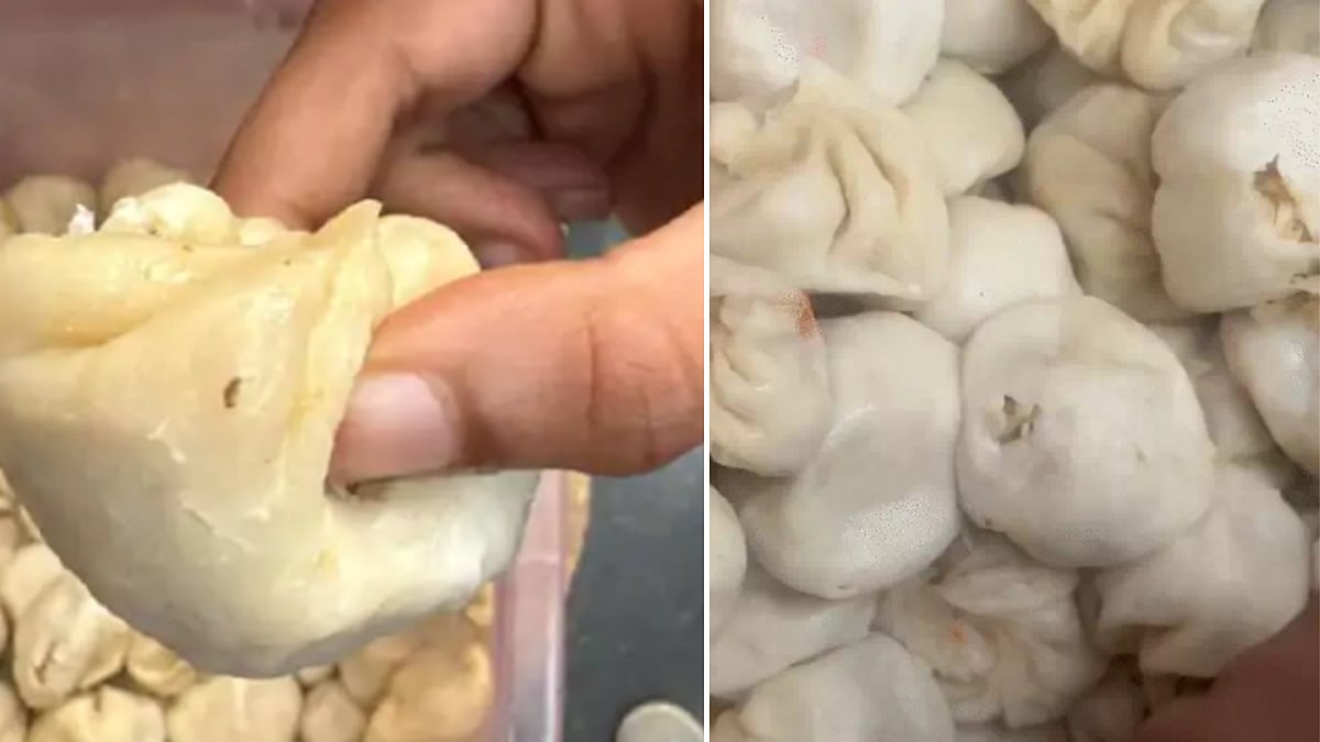 Ewww! Customer Finds Maggots Wriggling In Momos At Indore Restaurant; Demands Strict Action | VIDEO