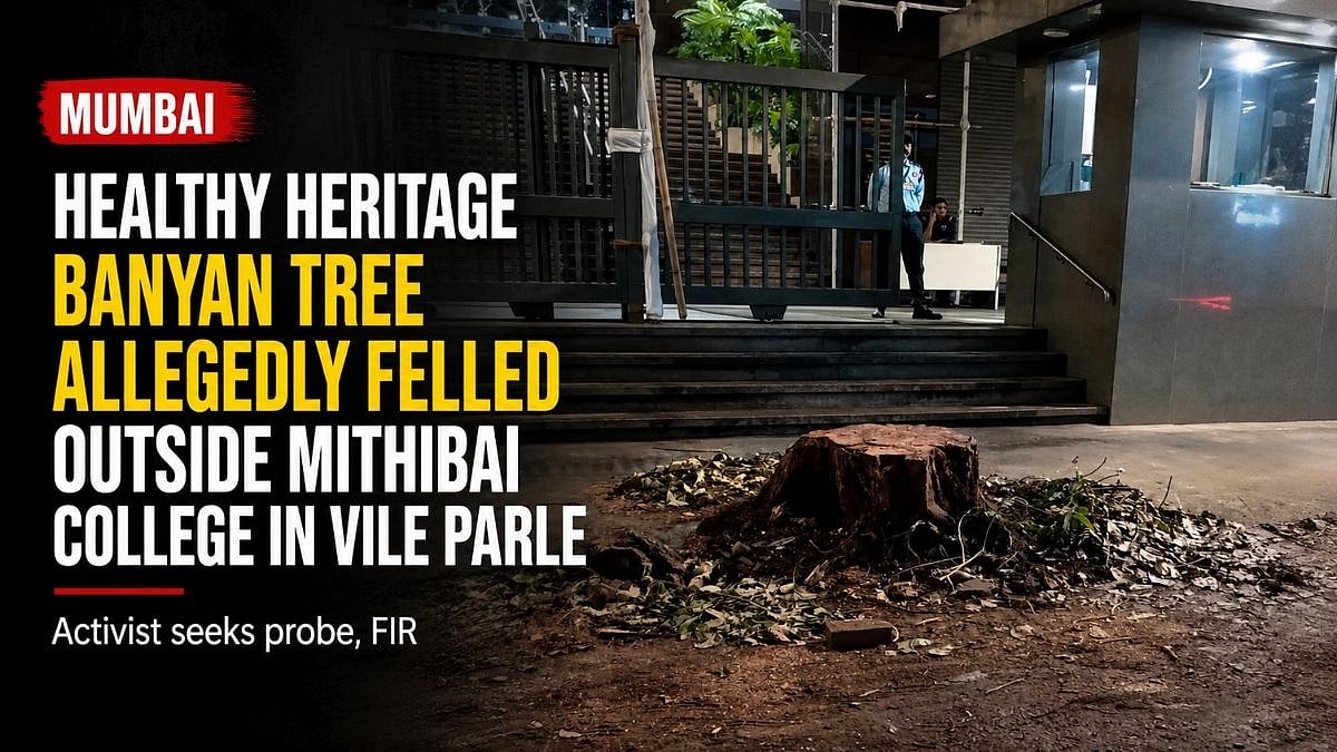 Mumbai: Healthy Heritage Banyan Tree Allegedly Felled Outside Mithibai College In Vile Parle; Activist Seeks Probe, FIR