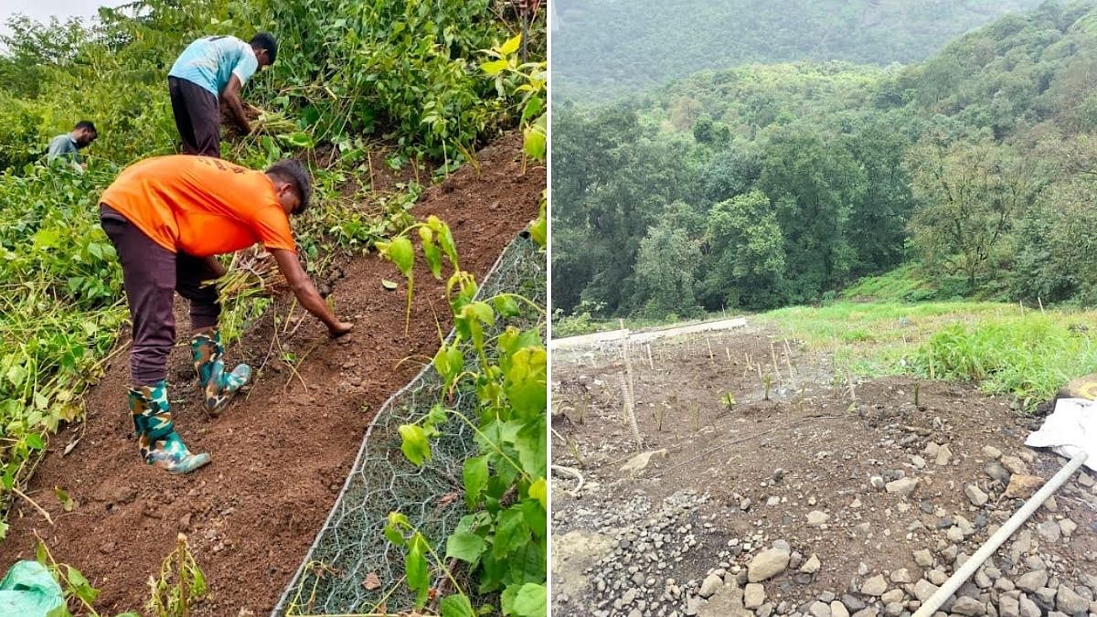 Central Railway Tests Vetiver Grass To Prevent Landslides In Mumbai-Pune Ghat Section After Monsoon Disruptions