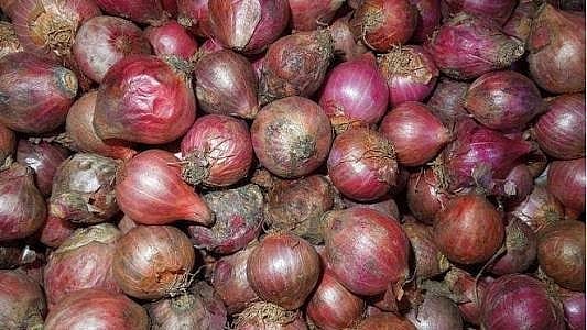 Nashik: Rotten Onions, Worms And Maggots Found At Lasalgaon CWC Godown; Questions Raised Over...