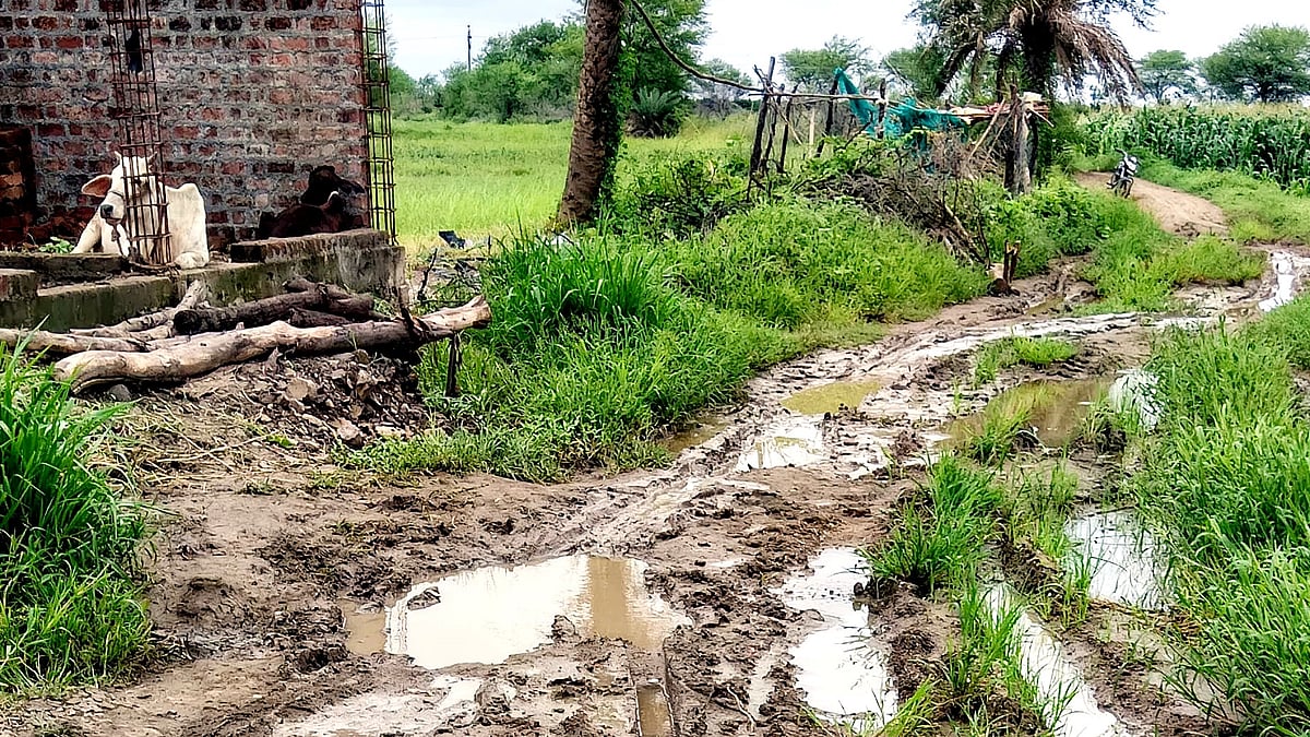No Road In MP’s Sironj Village, Patients Carried On Cots As Ambulances Fail To Reach