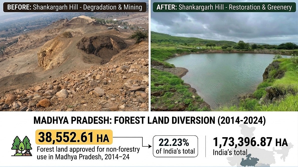 MP Tops India In Forest Diversion, Accounts For Over 22% Of National Total In 10 Years