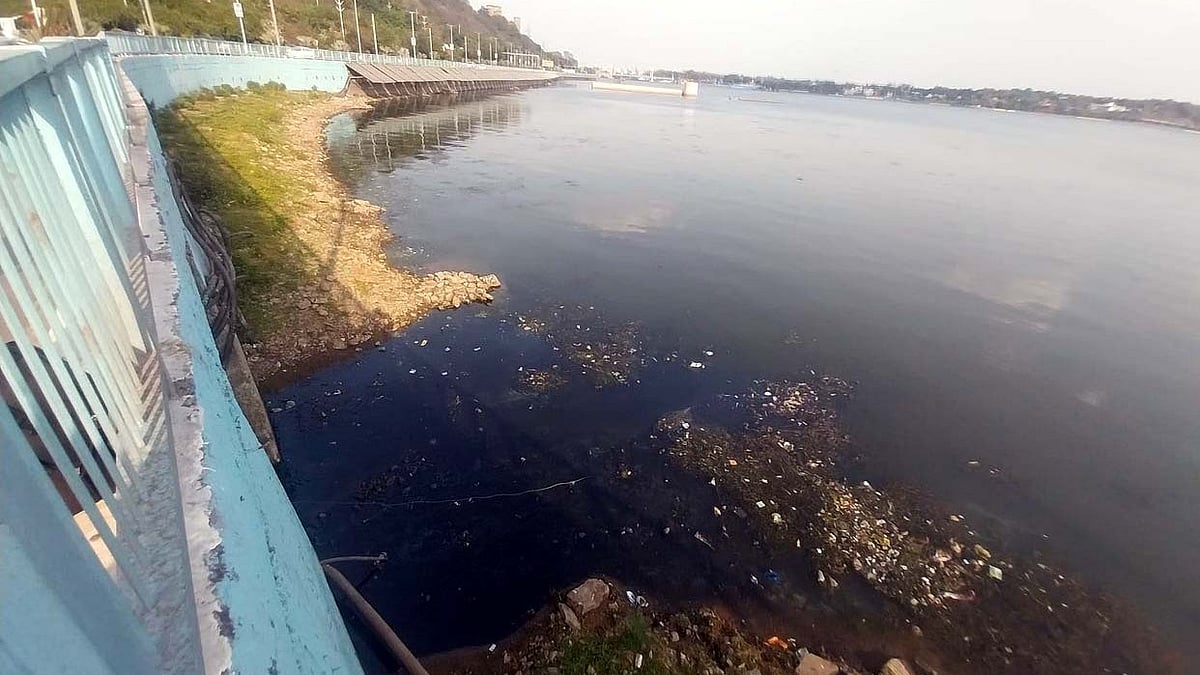 MP River Pollution Crisis: 18 Of 48 Major Rivers Fail BOD Standards, NGT Flags Sewage Treatment Gap