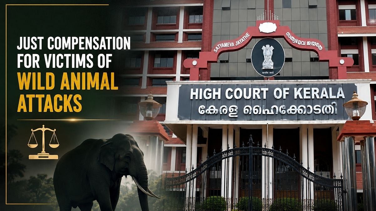 Kerala HC Says ₹20,000 Cap Cannot Limit Compensation For Wild Animal Attack Victims