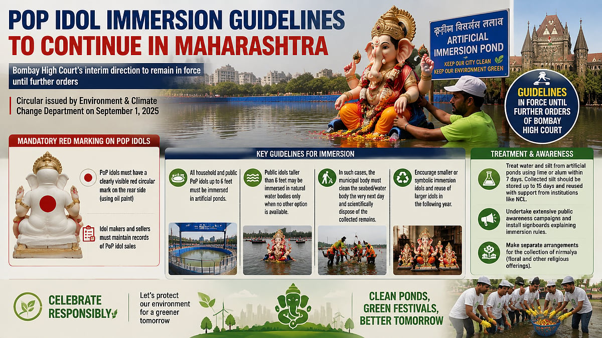Maharashtra Extends PoP Idol Immersion Guidelines Till Bombay HC Verdict
