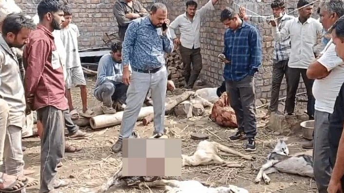 MP’s Mandsaur On Alert After Suspected Hyena Attack Kills 6 Goats, Injures 4