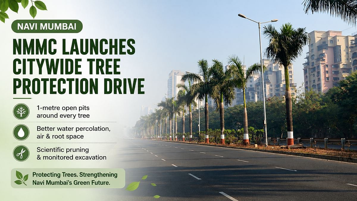 Navi Mumbai: NMMC Launches Citywide Tree Protection Drive, Orders 1-Metre Open Pits Around Trees