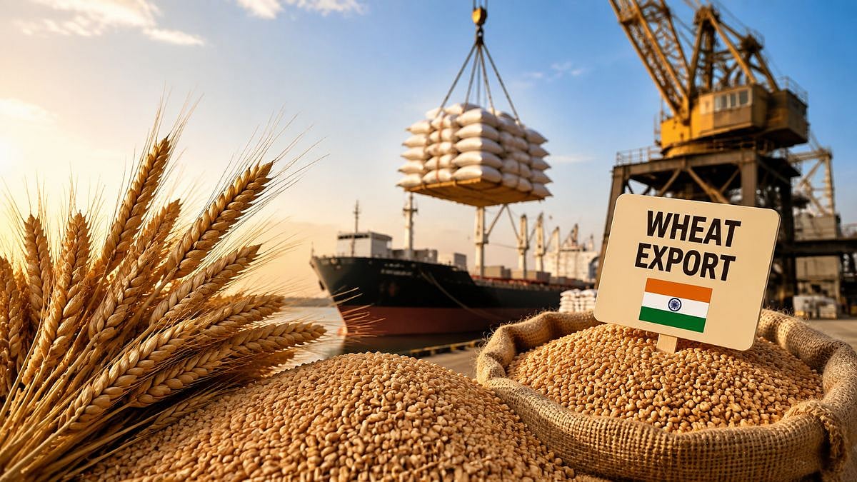 India’s Record Wheat Harvest Opens $1.5 Billion Export Window Amid Policy Liberalisation