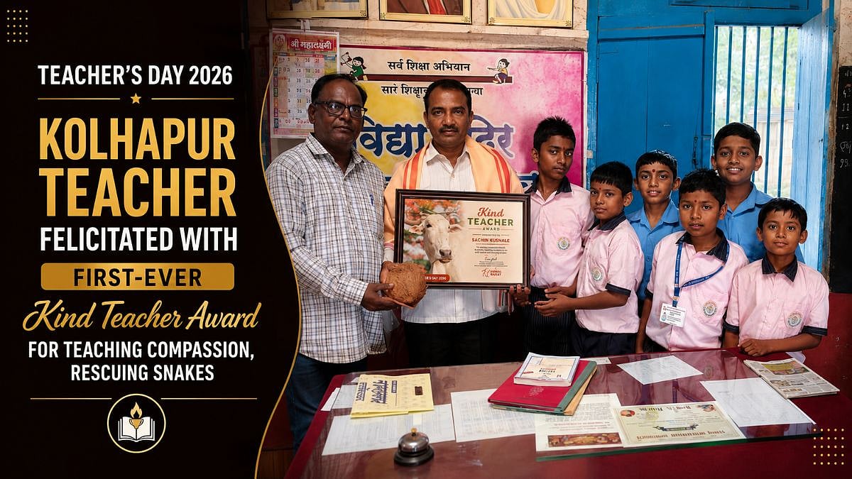 Teacher’s Day 2026: Kolhapur Teacher Felicitated With First-Ever Kind Teacher Award For Teaching Compassion, Rescuing Snakes