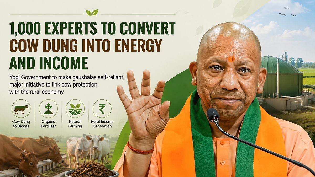 Uttar Pradesh To Create 1,000-Expert Network To Turn Cow Dung Into Energy, Organic Fertiliser And Rural Income