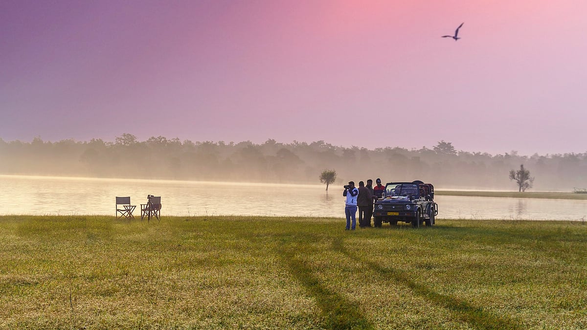 Beyond Tiger Sightings: Discovering Satpura’s Quiet Side In The Monsoon