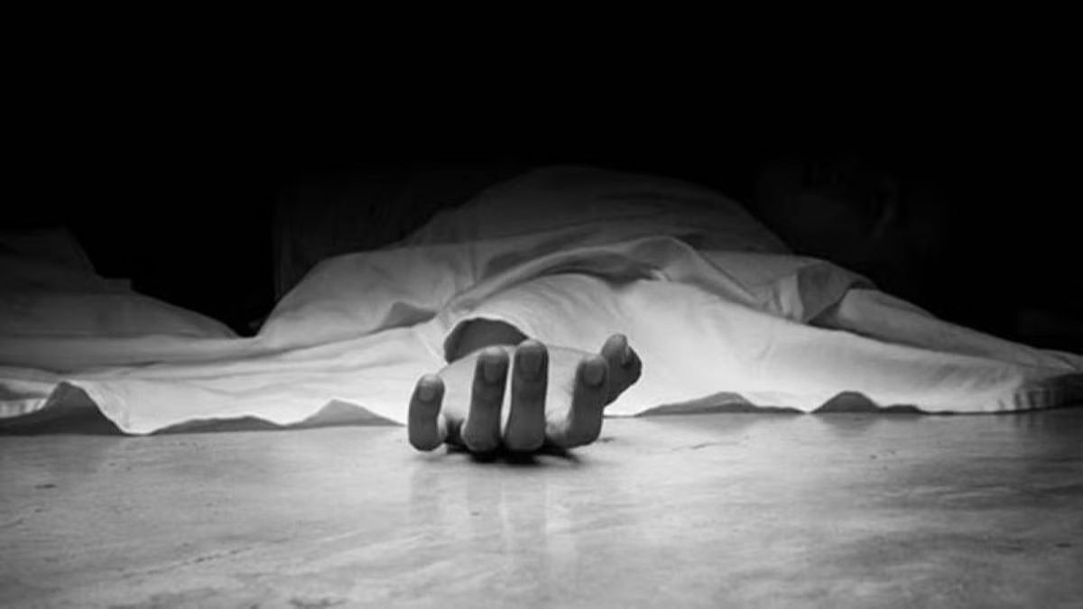 Haryana Human Rights Panel Orders Structural Safety Audit Of All Government Schools After 11-Year-Old Dies In Sonipat School Gate Collapse